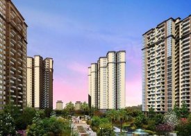 四川科華房地產(chǎn)開發(fā) 區(qū)域專業(yè)化與市場機遇